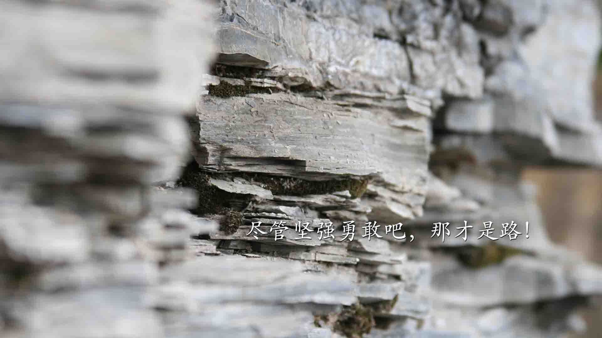 九游娱乐官网 (JIUYOU)-英超官方宣布将举办更多公益活动，强化企业社会责任，英超球队赞助商一览