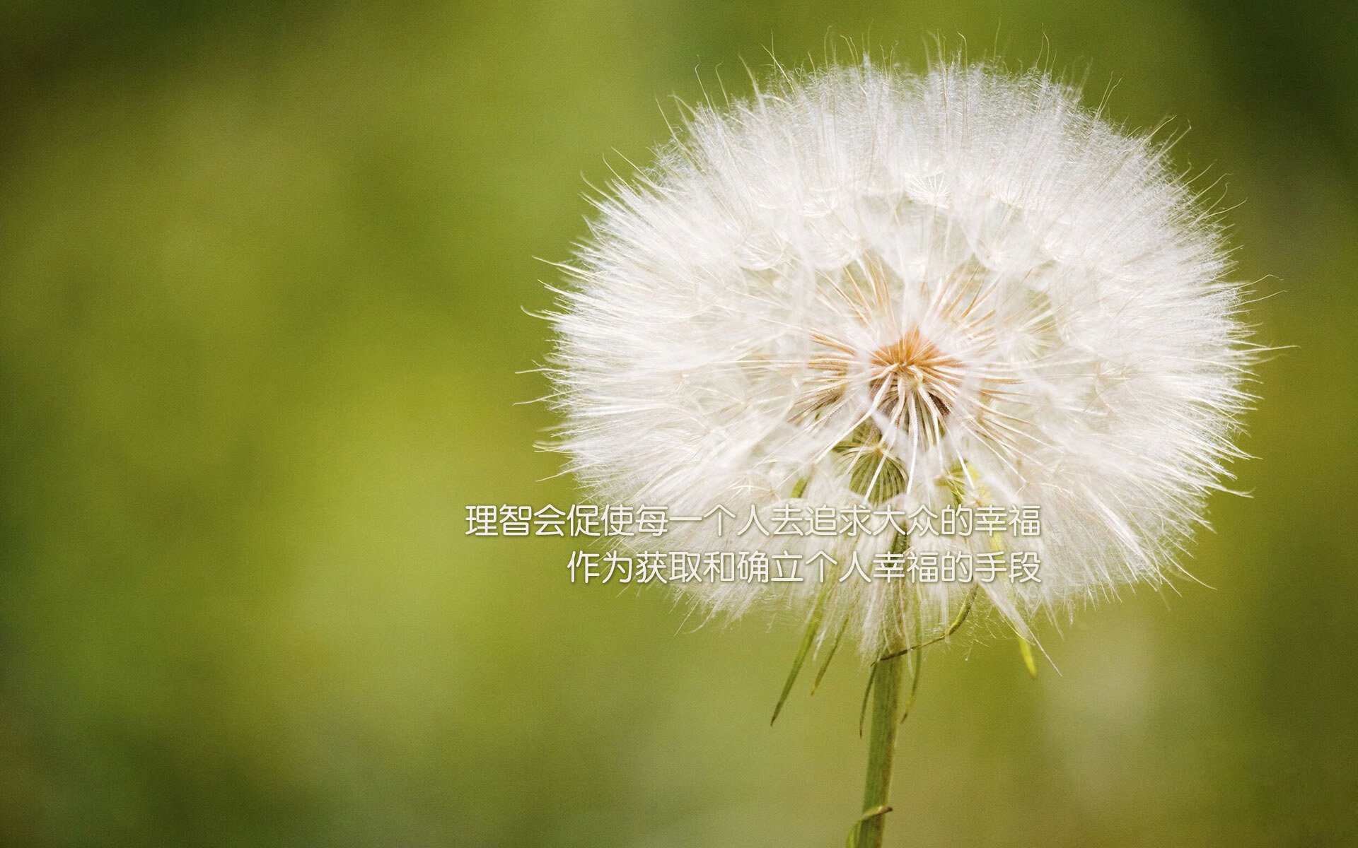 联盟是否应鼓励球员加入文化讲述类节目