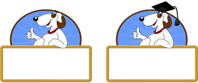 九游网-校园体育节活动对学生参与度的促进作用，学校体育节活动描述