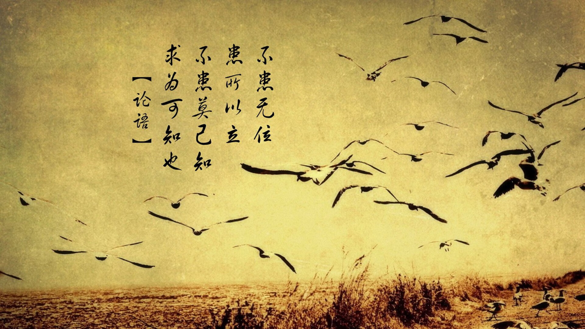 比赛节奏是否能通过对位压制来干扰，在比赛中如果选手的基本节奏错误则该选手判为
