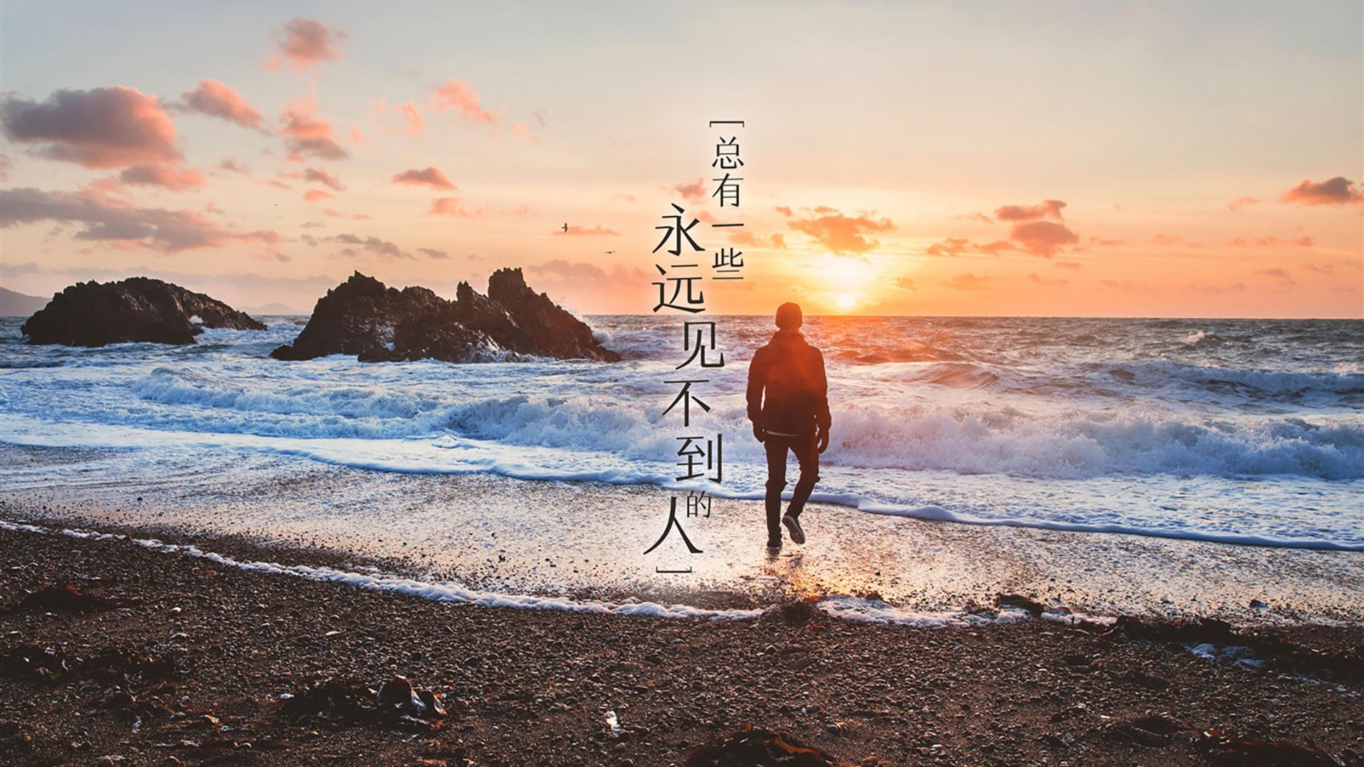 跳水高台动作摩纳哥成功完成