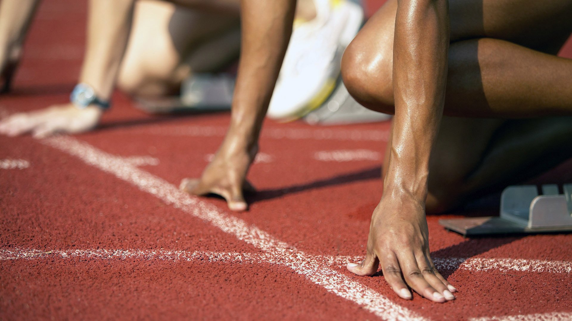 备战背后的秘密:教练组的秘密技术档案,教练组成员